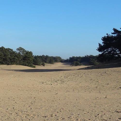 Willa Vakantie Op De Veluwe Lunteren Zewnętrze zdjęcie